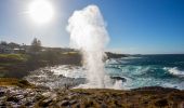 키아마 블로홀(Kiama Blowhole) 에서 뿜어져 나오는 물기둥, 키아마(Kiama) 